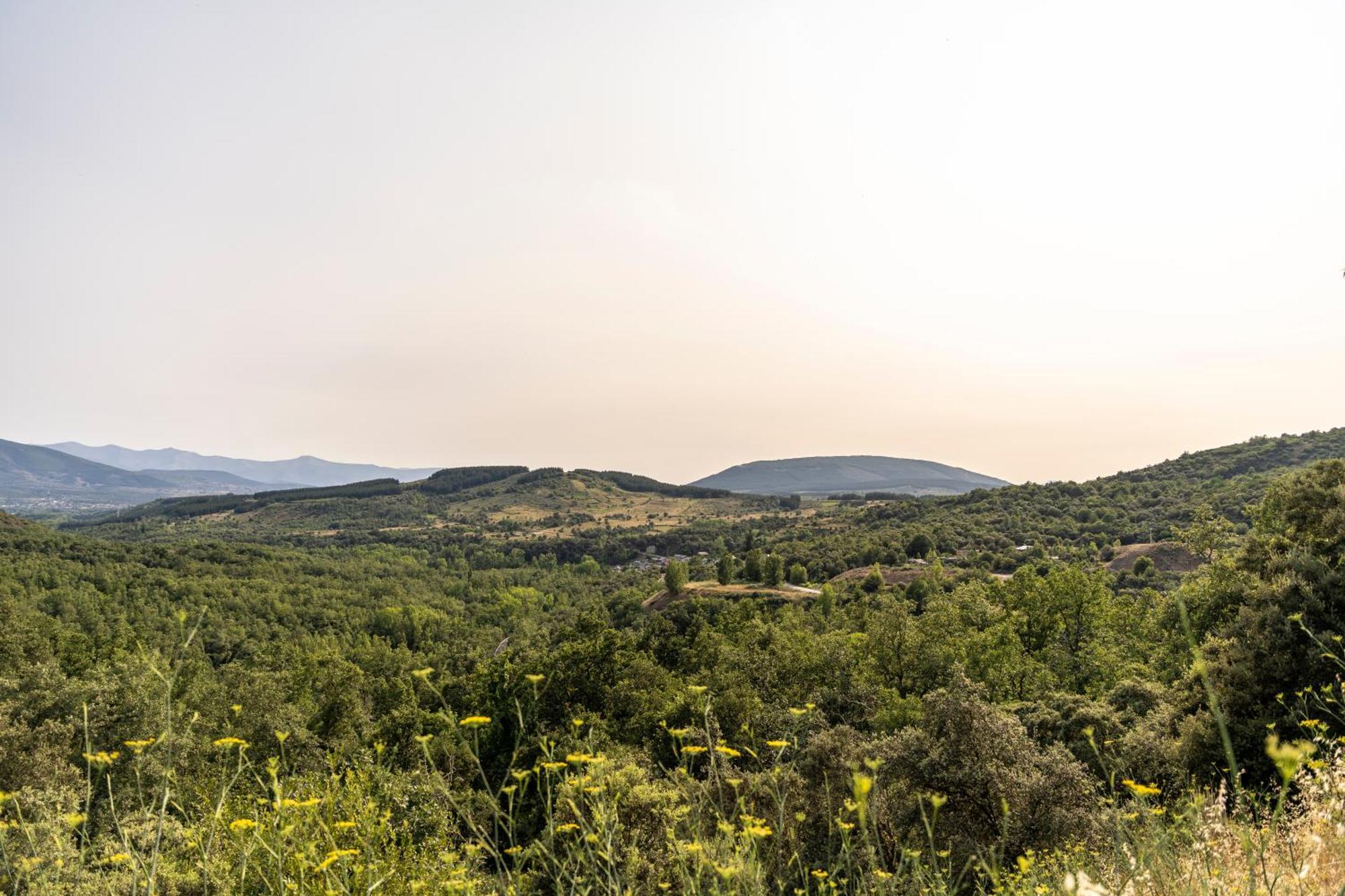 Casa De Turismo Rural Sardom2 Bembibre  المظهر الخارجي الصورة